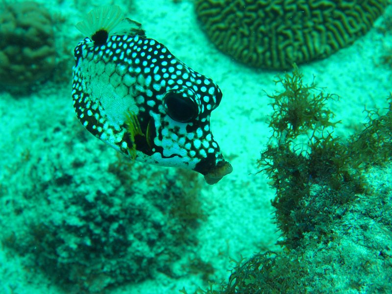 Curacao 04-12 124.JPG